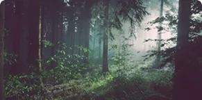environment